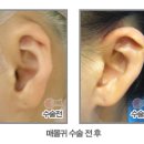 미네뜨 이미지