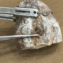 브레드4가 이미지