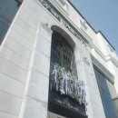 노블발렌티 삼성 / 메리블로썸스냅 촬영 후기