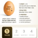제일양계장 네이버블로그