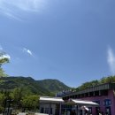 동해농원 | 강원도 동해 무릉별유천지 방문 후기 (강원도 가볼만한 곳, 무릉별유천지, 라벤더축제)