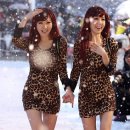 윙크 Daum카페