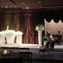 스텔라하우스 이미지