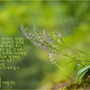 꽃 - 윤여흥 이미지