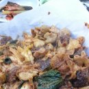 홍가네돈부속 이미지