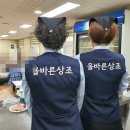추병원장례식장