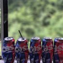 대구여행자클럽 당일치기 정선아리랑열차, 아우라지, 정선시장, 화암동굴까지 다녀온 후기