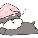 궁촌레일바이크펜션 이미지