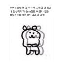 글라쇼 이미지