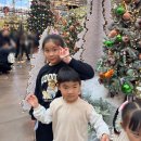 씨유(CU) 군자본점 | 코엑스 별마당도서관 크리스마스 분위기 구경 | 주말 서울 나들이 코스 추천