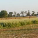 천서리공인중개사사무소 이미지