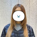 드웨일 | 인생 미용실 찾았다! 웨일 드 헤어 목동점 방문 후기