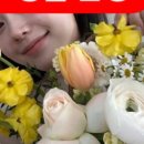 춘천꽃집