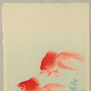 금어로 | ‘금어(金魚)&#39;와 &#39;금적어(金鯽魚)’ 그리고 ‘금붕어(金魚)’