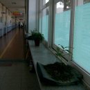 내남초등학교 이미지