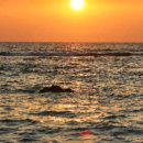 유일에 대한 묵상 이미지