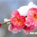 시샘 이미지