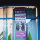 한나헤어샵 네이버블로그