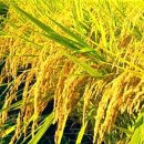 서정고등학교 이미지