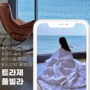 경주 감포트라제2 | 경주 숙소 감포트라제 풀빌라 펜션 내돈내산 후기 feat.(전객실 오션뷰 수영장)