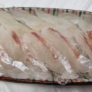 엑스포 삼포차 네이버블로그
