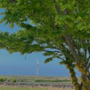 금빛 민박 이미지