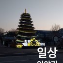 함평볼링장 | 함평 겨울 빛 축제 후기 1편 입니다~