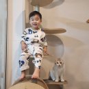 두돌 사진과 어린이집 답례품, 생일토퍼 준비 후기 (꽃그레/양재동사진관/오리다스튜디오)