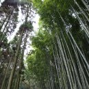 담양유명약국 이미지