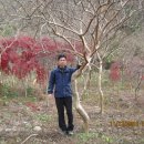 단풍농장 이미지
