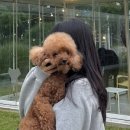 뒹구리