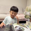 성운이의 책향기 숲향기 도서관📖📖 이미지