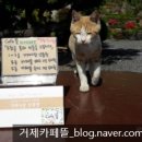 원뜰카페 이미지