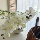 리에유