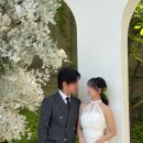 갤러리다연 - 담양군 메타프로방스1길 15 | 보다스튜디오(보다연희재)촬영후기｜야외 구조물씬