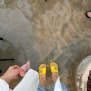 명호목장 | [제주] 제주도 여행 가볼만한곳,맛집 추천