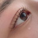 르네제이 | 세종 속눈썹펌 추천 새롬동 르네제이 블랙틴팅펌