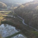 여주-1080 이미지