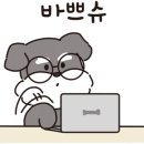 서원종합동물병원