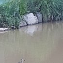 자굴산편의점 이미지