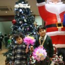 숲속예은유치원 이미지