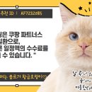 주식회사 베지스타 이미지