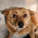 진명공업사 이미지