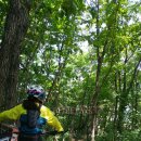 산타 크루즈 이미지