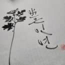 마음놀이터 캘리그라피(캘리그라피 2급) 이미지