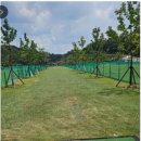 정촌 파크골프장 이미지