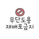하모리 담채 이미지