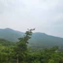 국립무의도자연휴양림 이미지