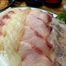대포수산물회센타 | 역 횟집 중 줄 제일 긴 대방어 맛집 기름 좔좔 가성비 대박인 대포수산물회센타 내돈내산 솔직후기 포장