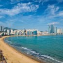 엠케이렌트카 이미지